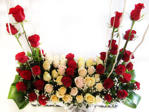 Roses arranged in box