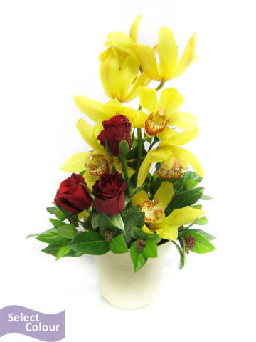 Roses and orchids in plastic pot