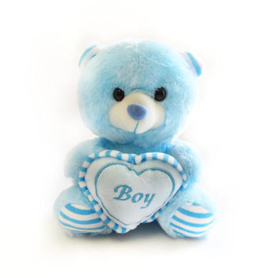 Blue teddy with boy on heart